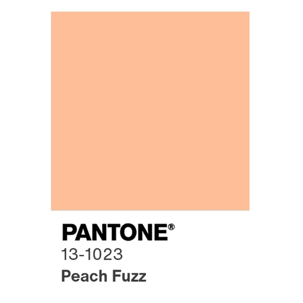 pantone colordelano 2024 peachfuzz 25gramos 1