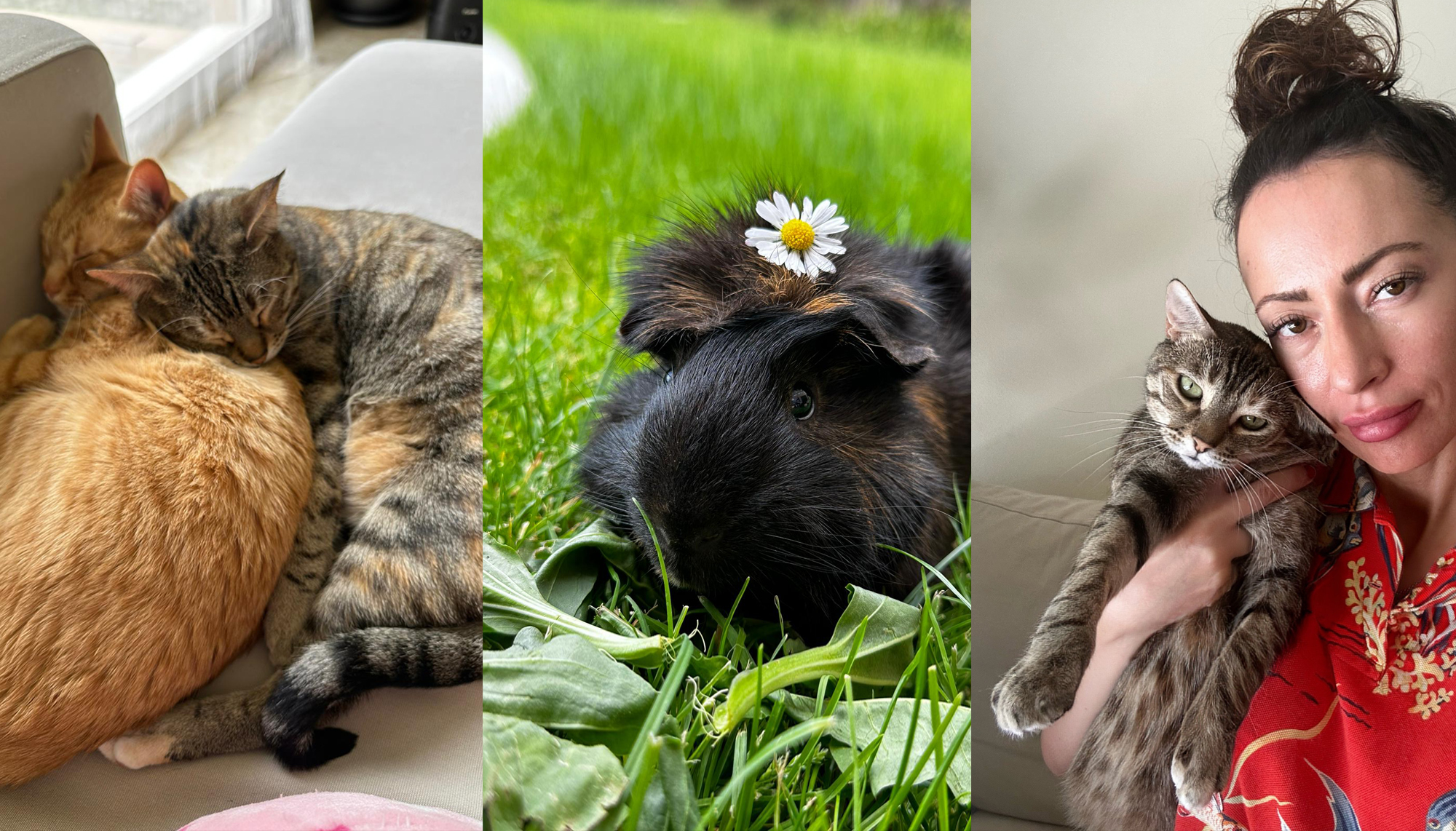 Vanessa Castillejo 25 Gramos 25 Gramos