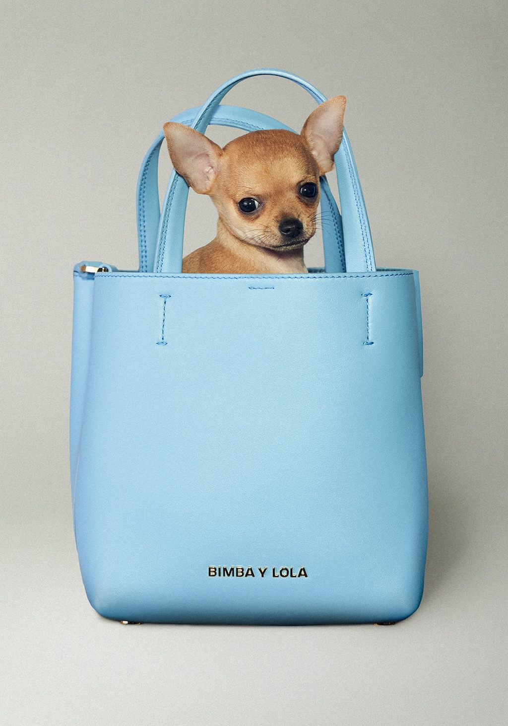 El bolso Chihuahua nuevo miembro de la familia BIMBA Y LOLA 25