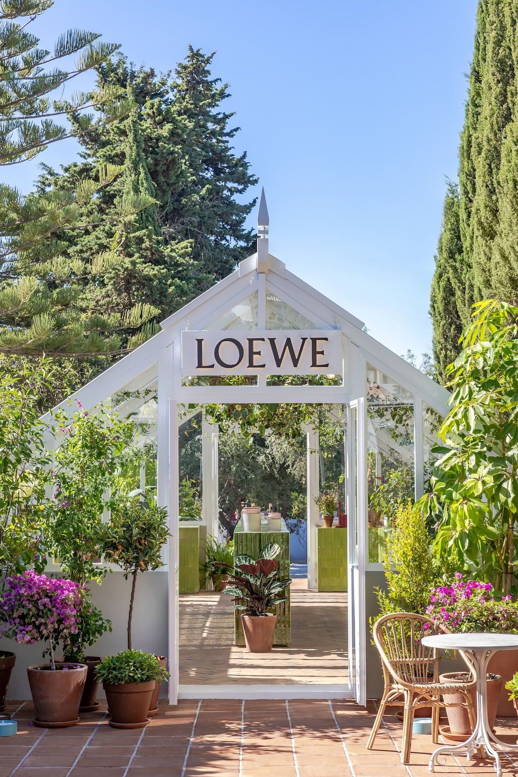 el invernadero de loewe perfumes abre sus puertas en el hotel marbella club 25gramos 7