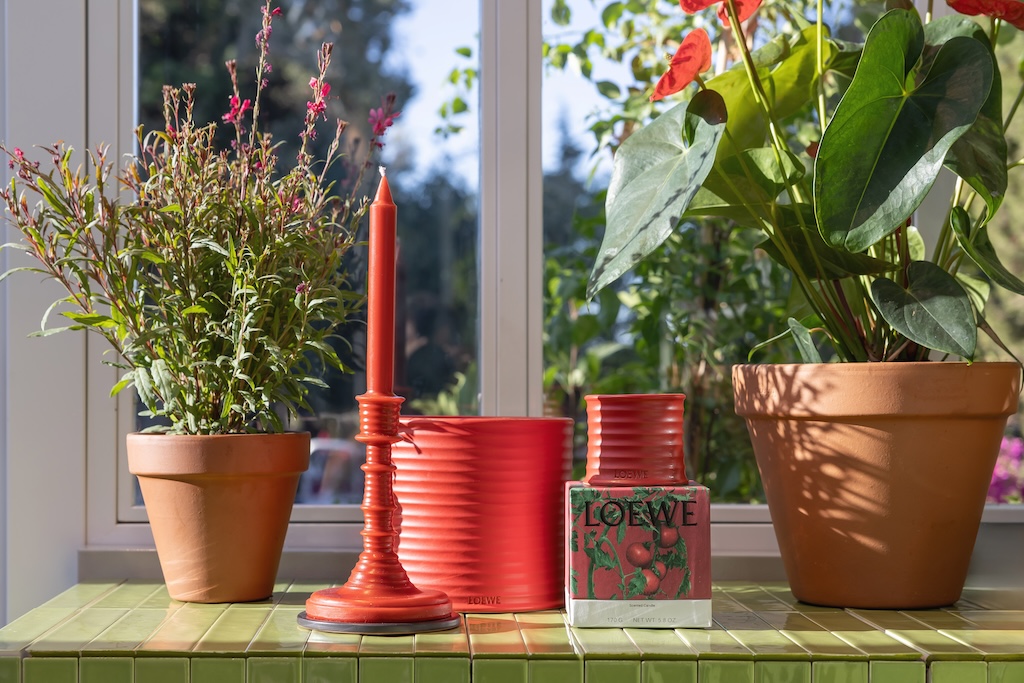 el invernadero de loewe perfumes abre sus puertas en el hotel marbella club 25gramos 8
