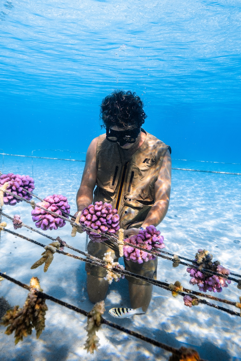 k way anuncia el lanzamiento de una nueva colaboracion junto a coral gardeners 25gramos 3