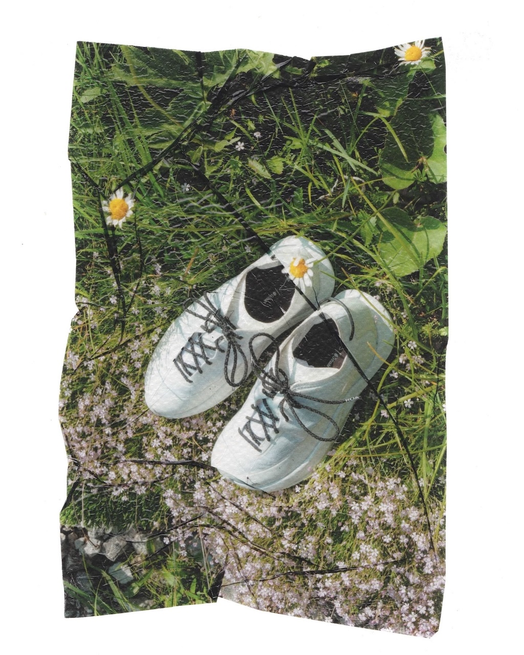 roa desvela las nuevas zapatillas sella 25gramos 4