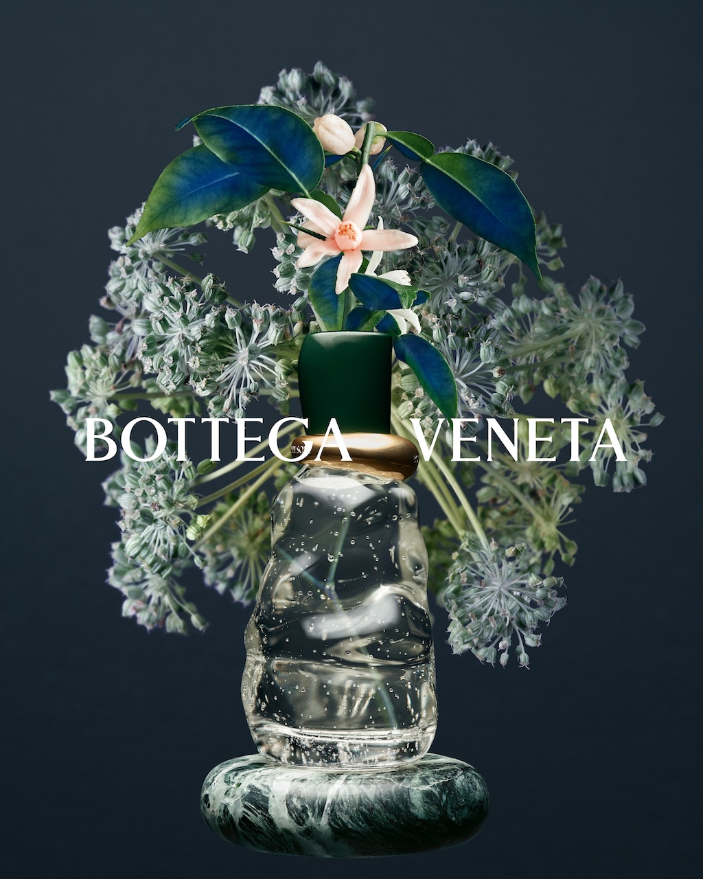 bottega veneta presenta una nueva coleccion de fragancias 25gramos 1