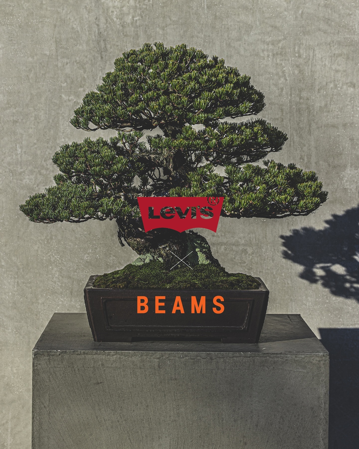 levis y beams desvelan su quinta coleccion capsula colaborativa 25gramos 10