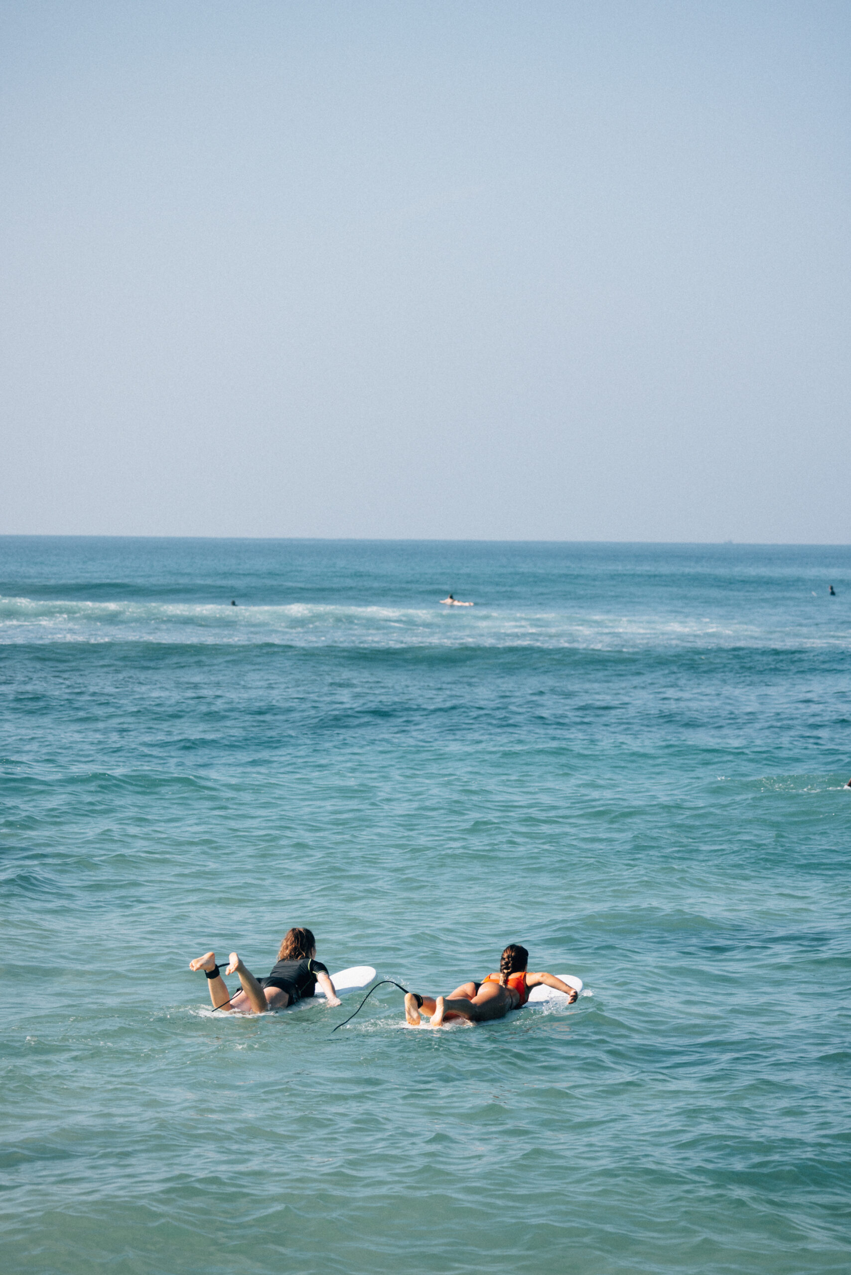 berta gonzalez top 10 2 2 scaled