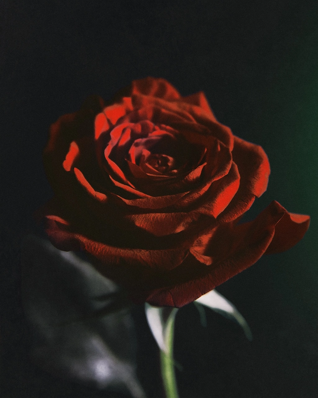 loewe perfumes se inspira en la divina comedia para su campana de san valentin 25gramos 5