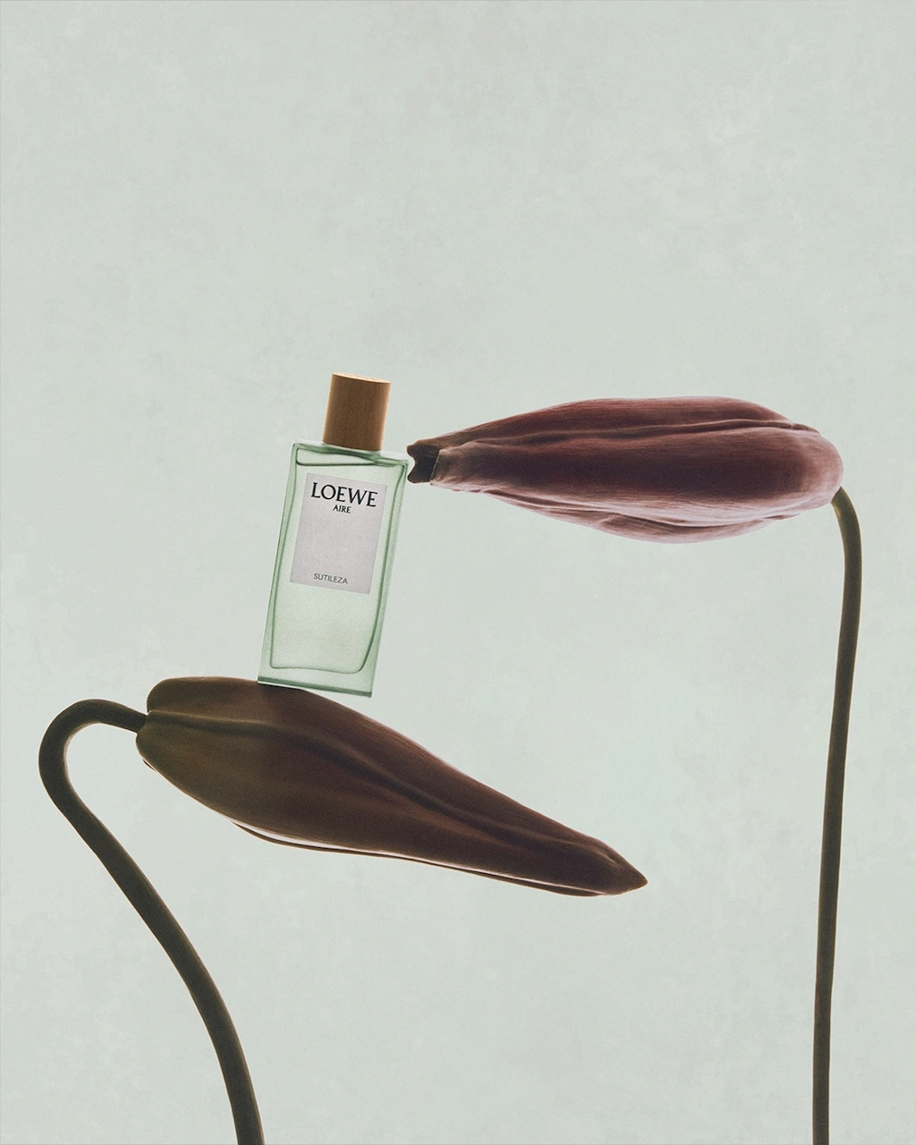 loewe perfumes se inspira en la divina comedia para su campana de san valentin 25gramos 6