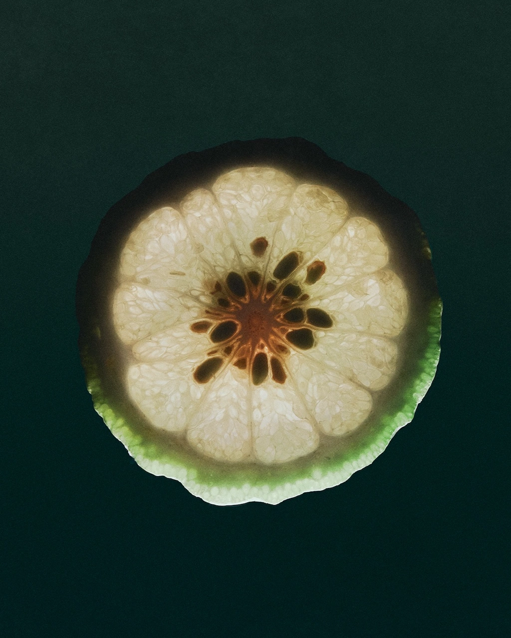 loewe perfumes se inspira en la divina comedia para su campana de san valentin 25gramos 9