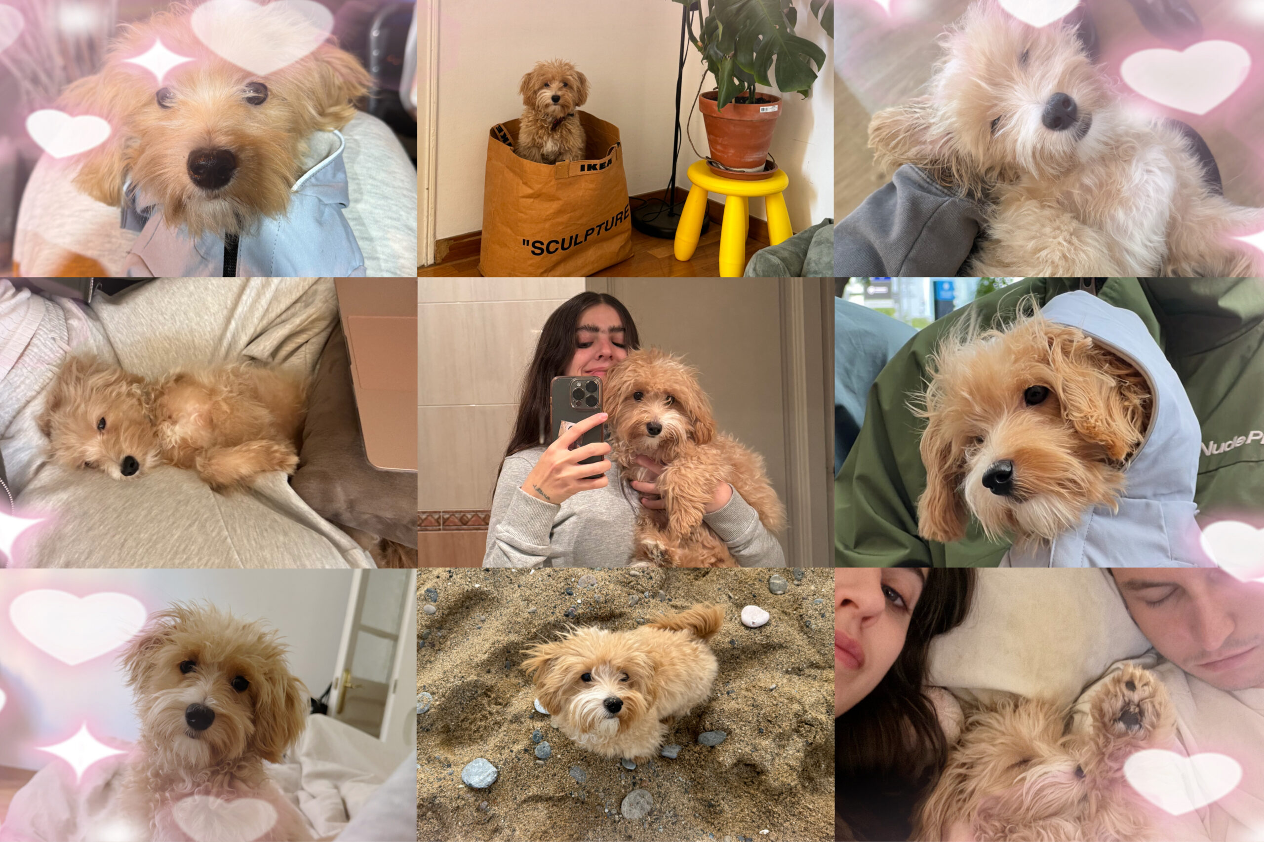 lua gomez top 10 1 scaled