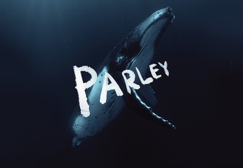 parley for the oceans y dover street market unen fuerzas para la investigacion de materiales alternativos 25gramos 3