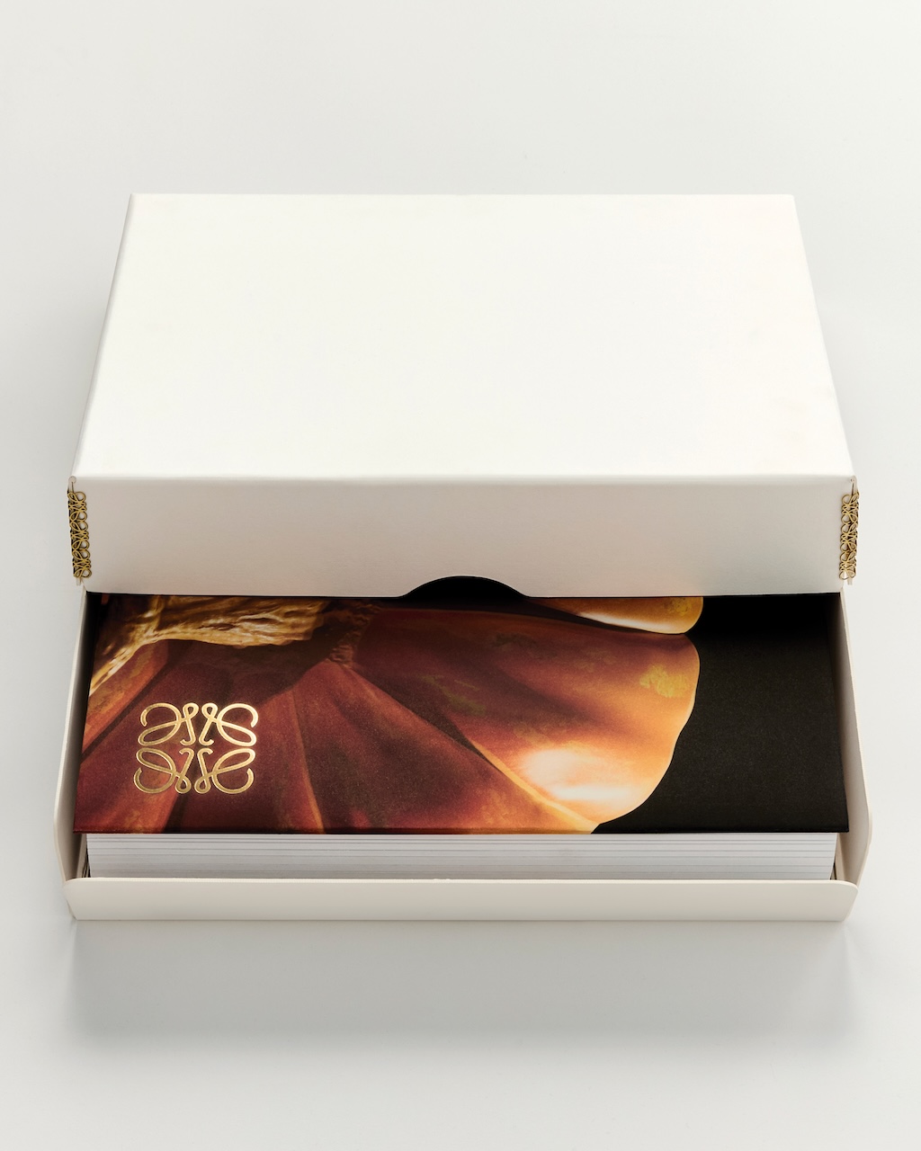 loewe celebra los anos de jonathan anderson con el lanzamiento de crafted world 25gramos 4