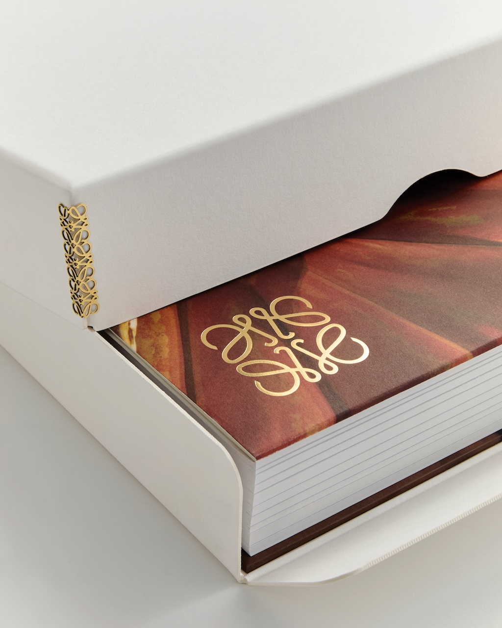 loewe celebra los anos de jonathan anderson con el lanzamiento de crafted world 25gramos 5