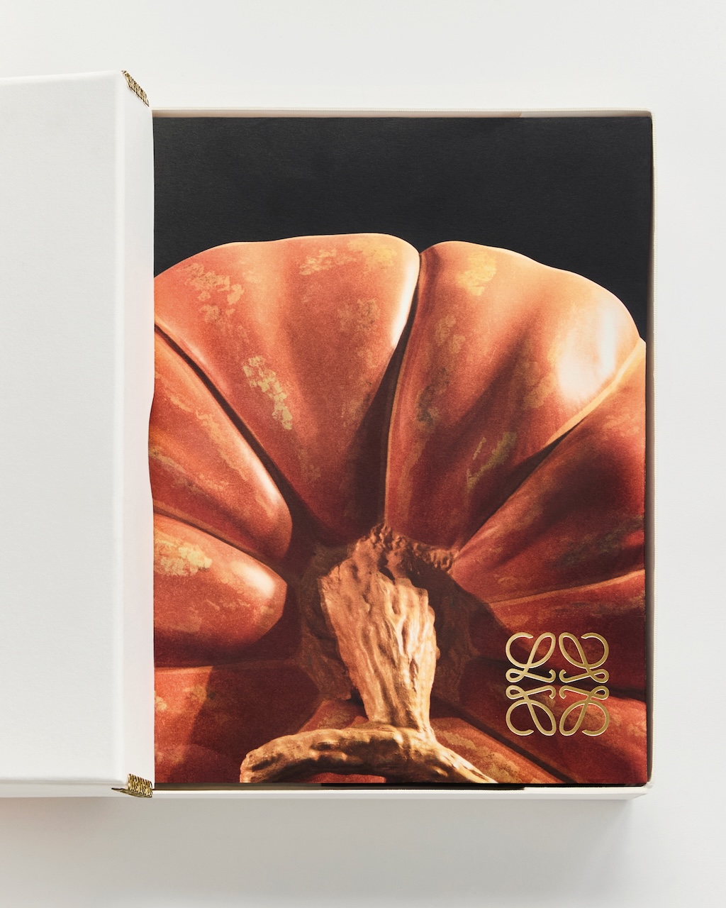 loewe celebra los anos de jonathan anderson con el lanzamiento de crafted world 25gramos 6