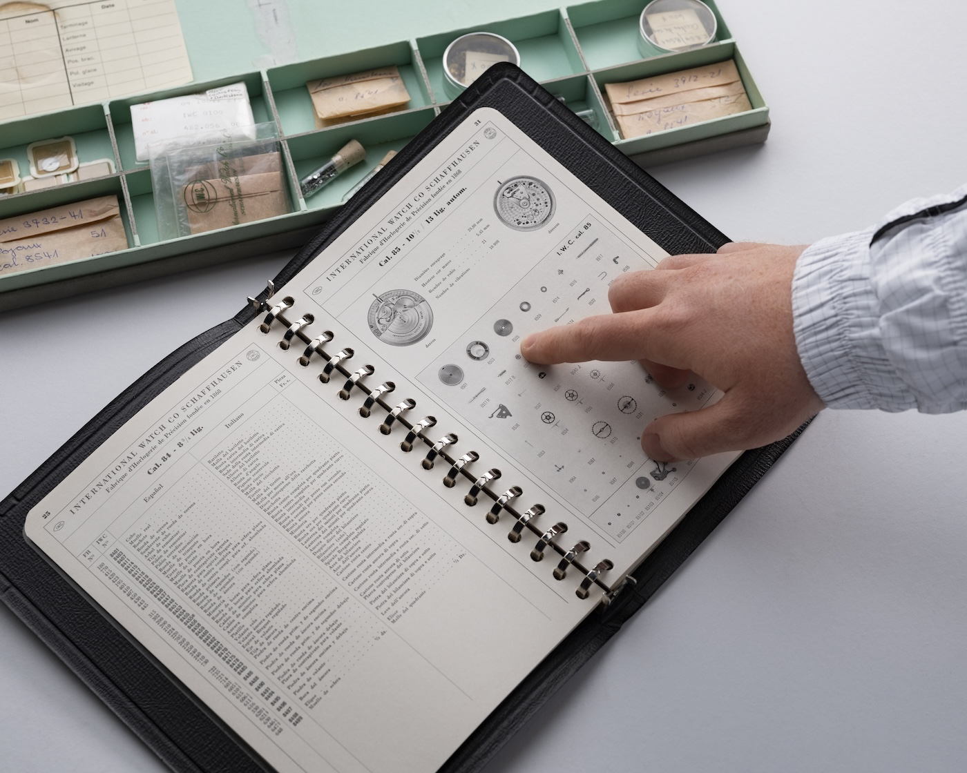 iwc schaffhausen abre la puerta a su legado con iwc curated 25gramos 2