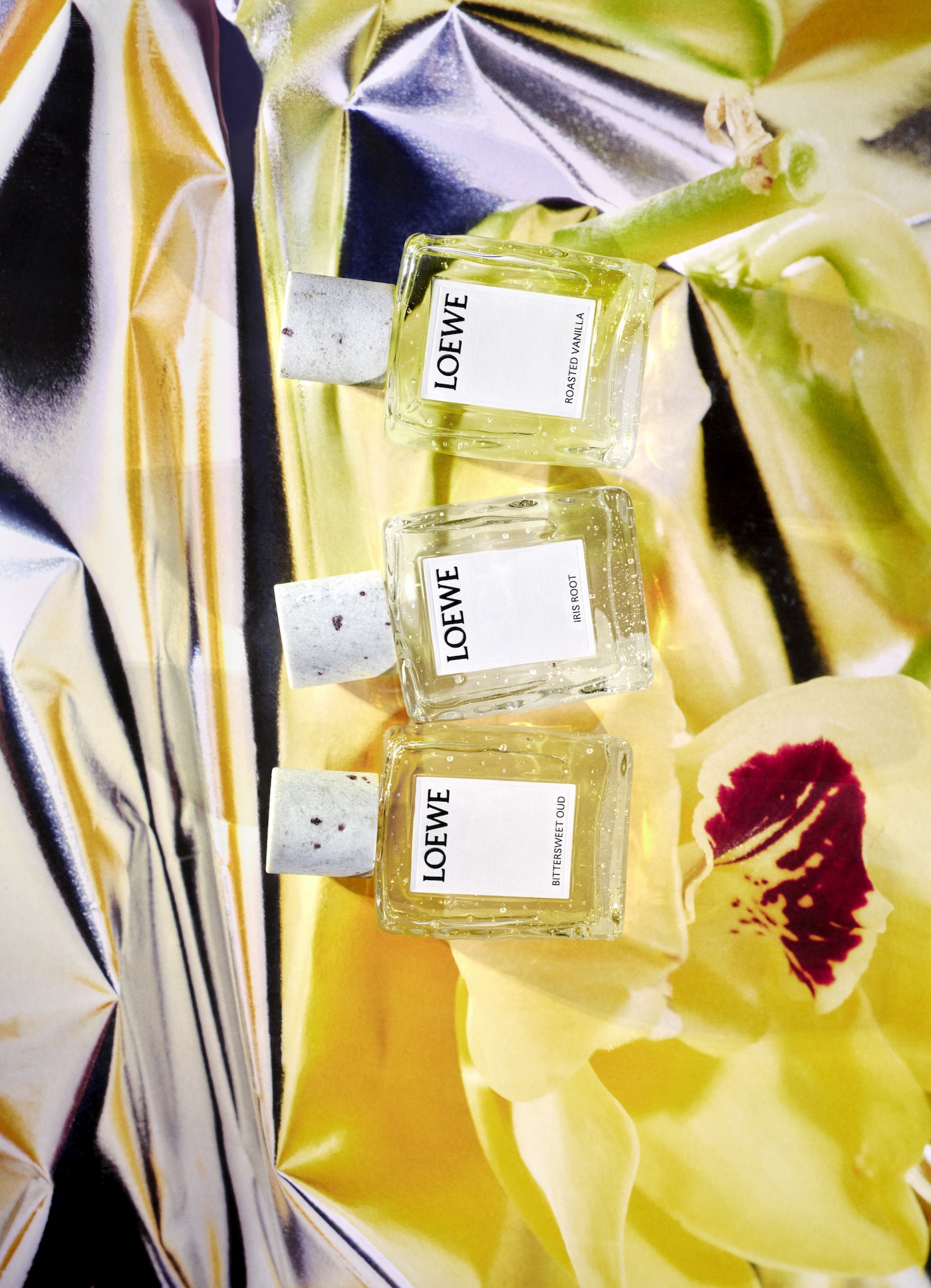 loewe perfumes da comienzo a una nueva etapa con la crafted collection 25gramos 2