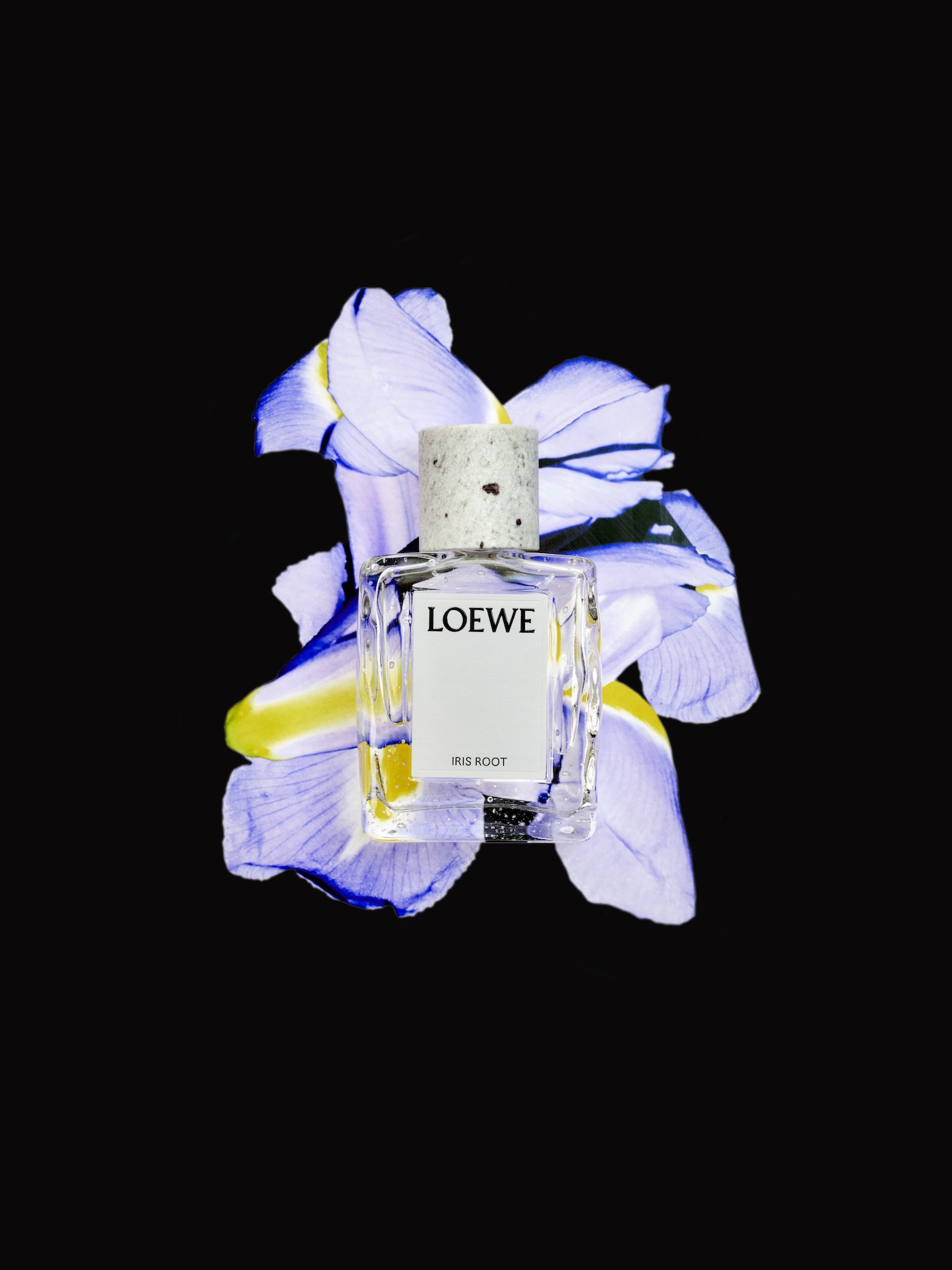 loewe perfumes da comienzo a una nueva etapa con la crafted collection 25gramos 3