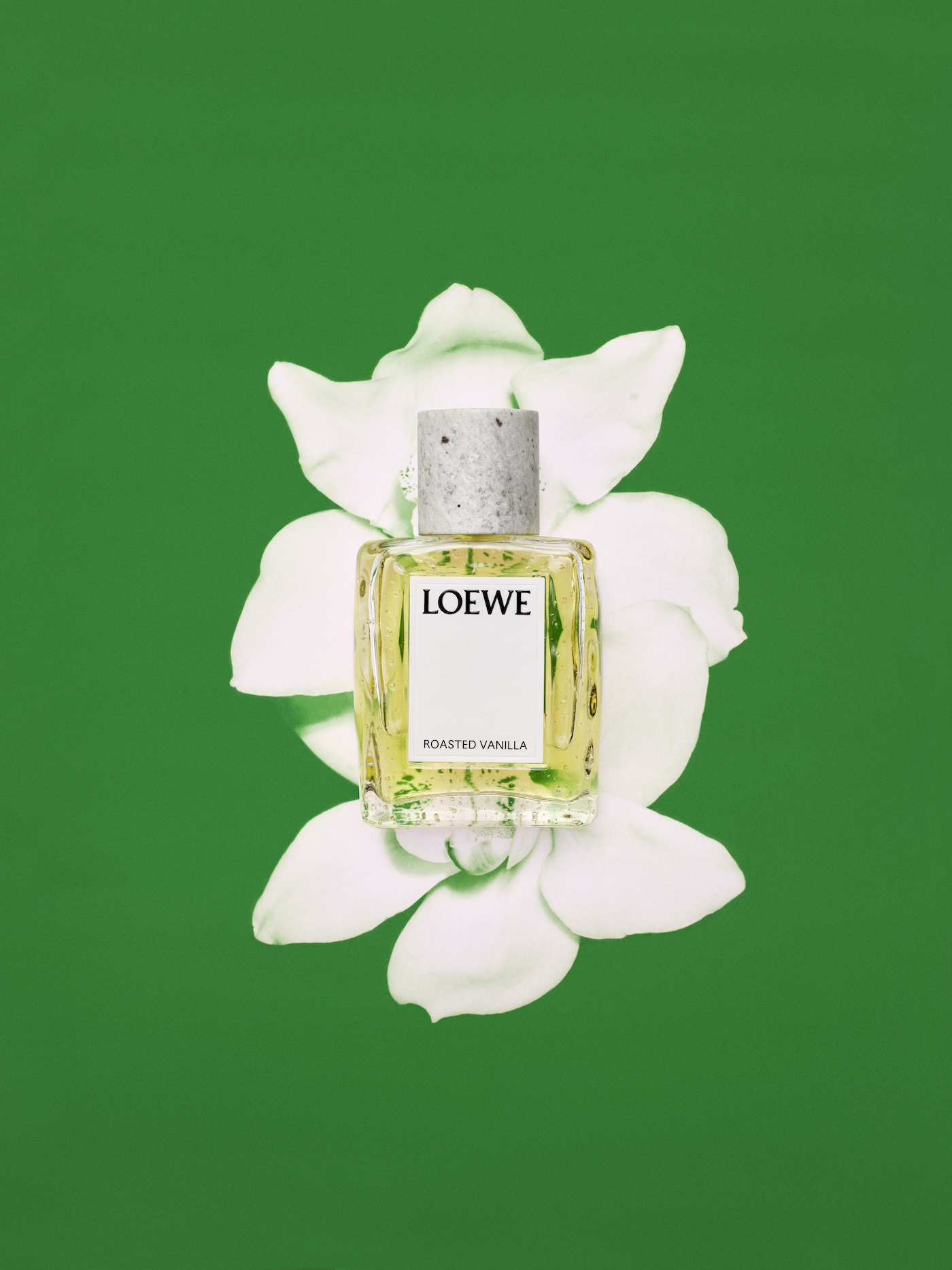 loewe perfumes da comienzo a una nueva etapa con la crafted collection 25gramos 4