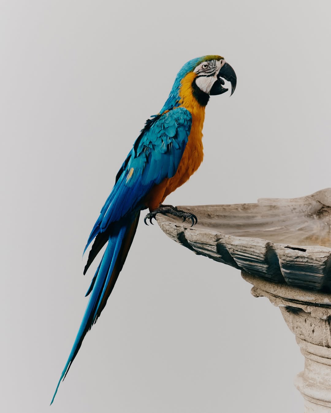 house of errors convierte el concepto de la velocidad en su nueva coleccion 25gramos 4