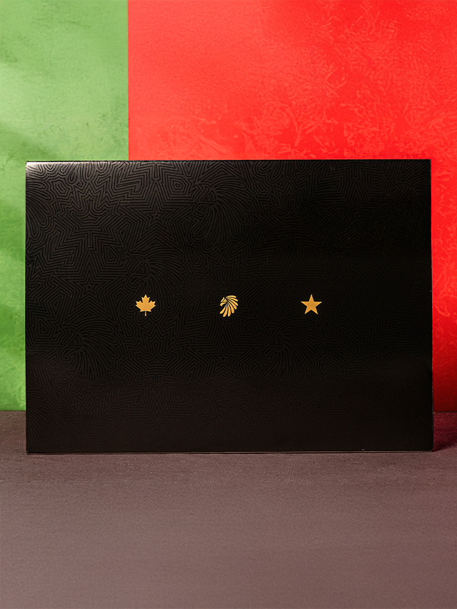 adidas repasa 50 anos de balones de la copa mundial 25gramos 7