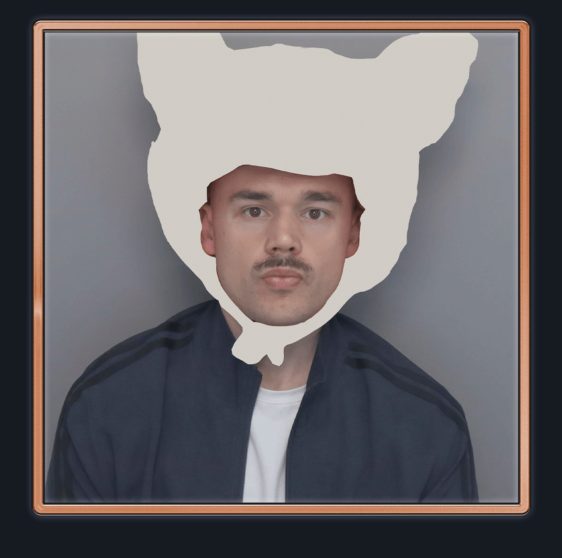 francesc planes v2 copia