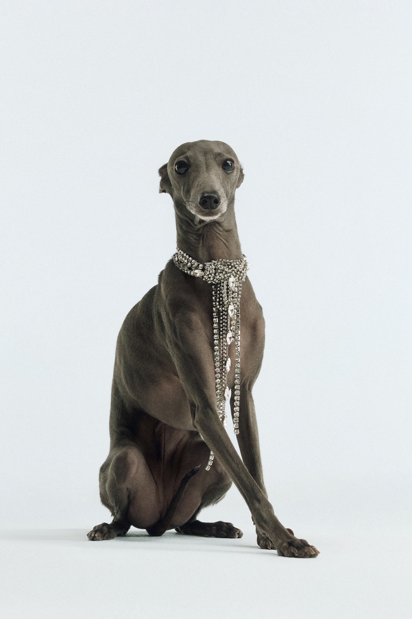 maria bottle se mete de lleno en la navidad de bimba y lola 25gramos 1