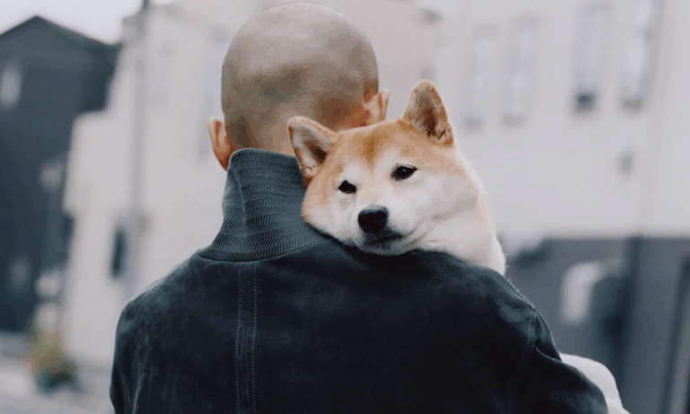 nanamica y a kind of guise son un exito asegurado 25gramos 5