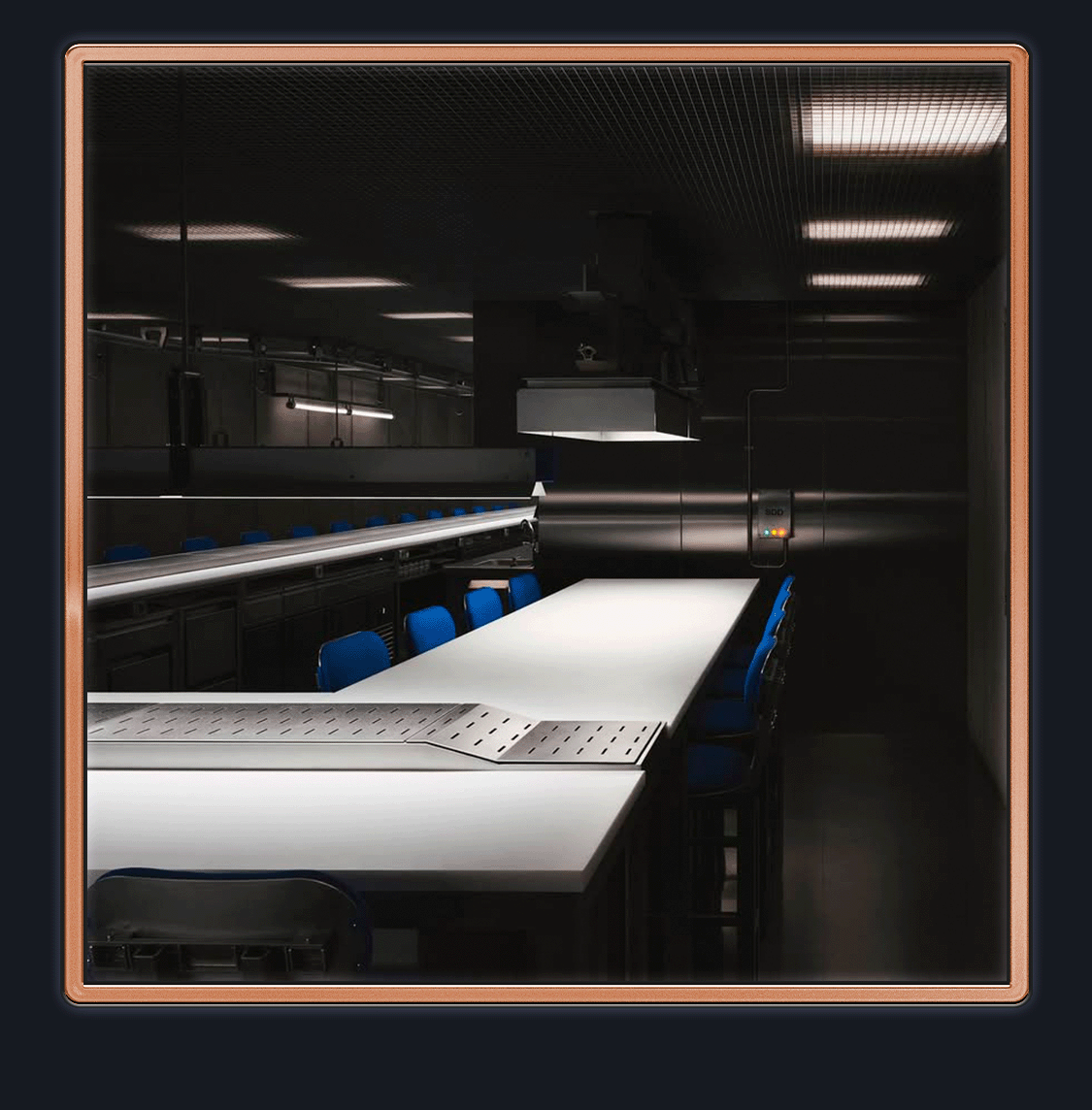 yyplusplus v2