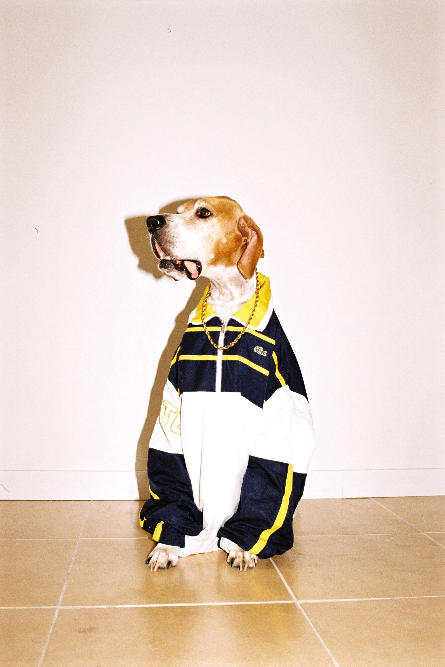 aleix barau top 10 10 2 scaled