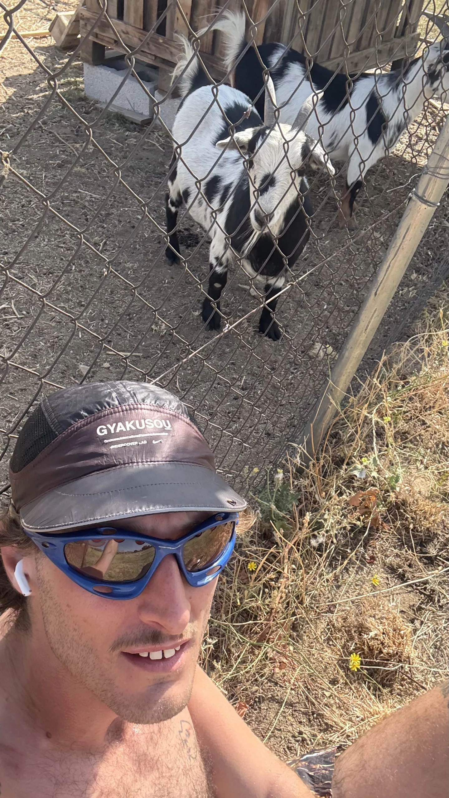 aleix barau top 10 5 2 scaled