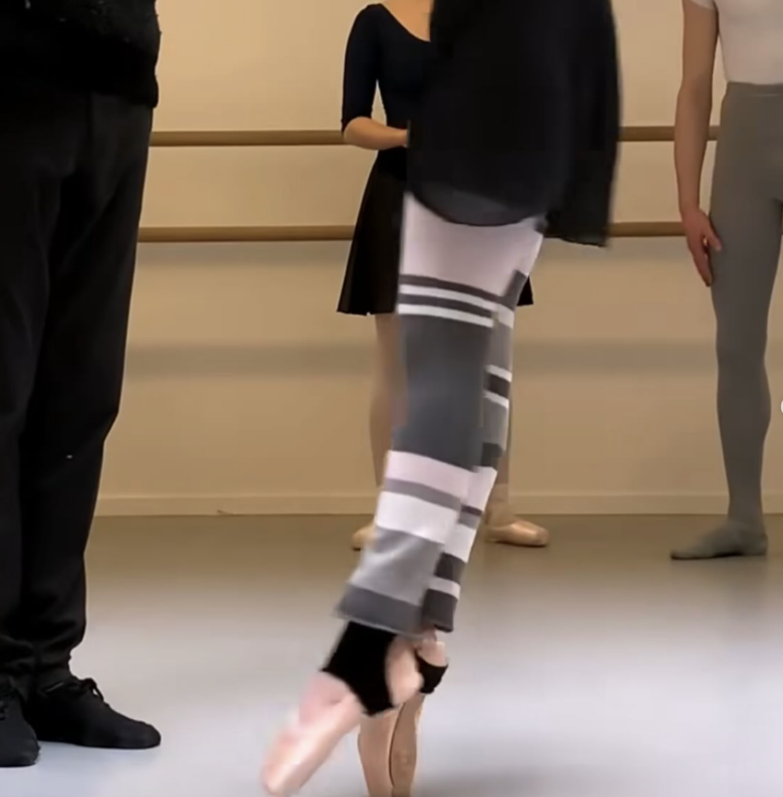 ana fort ballet top 10