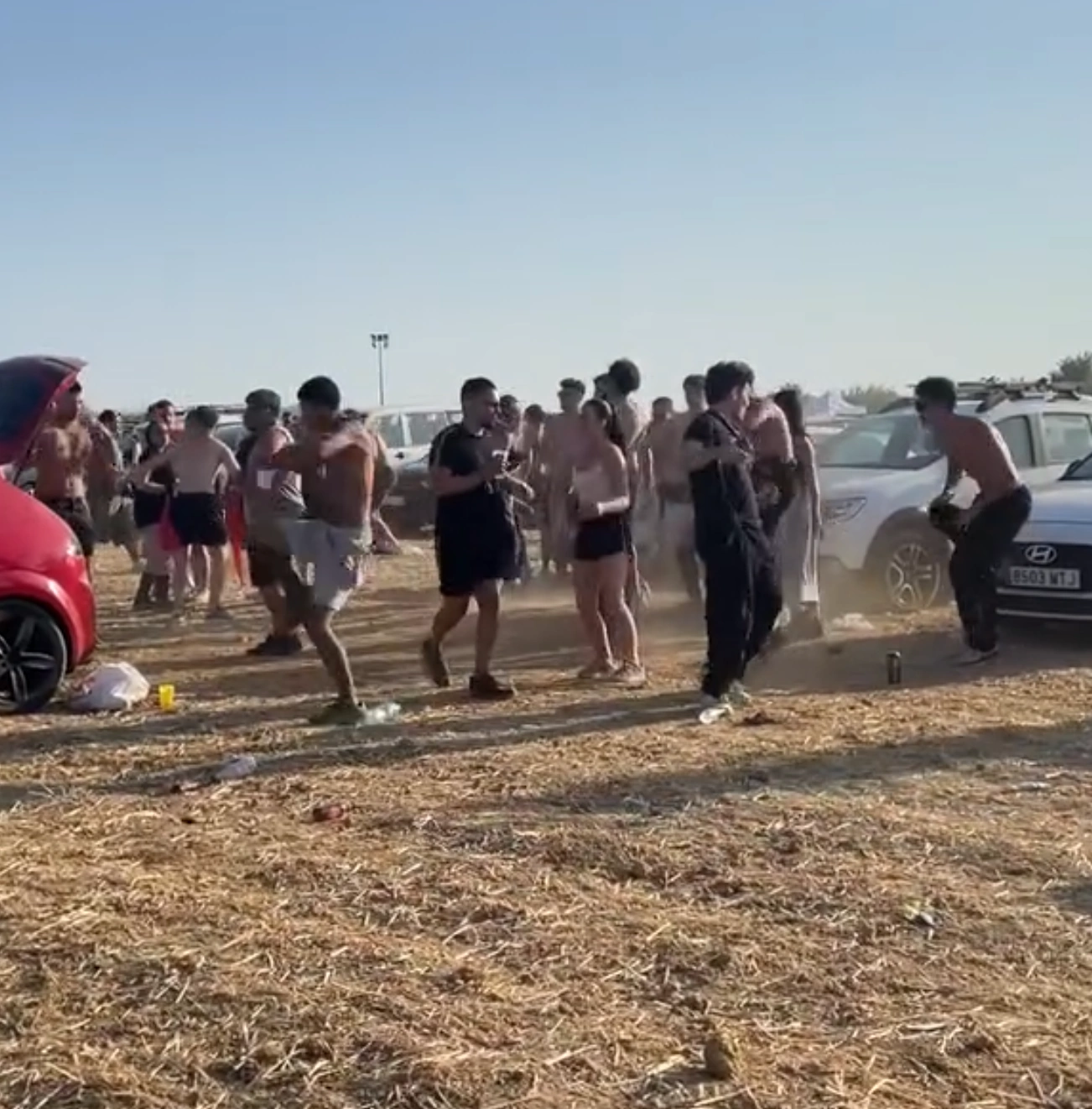 ana fort parkineo top 10 4