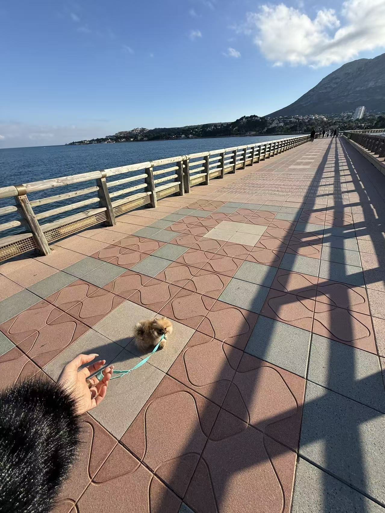 top 10 cleo 25gramos 8