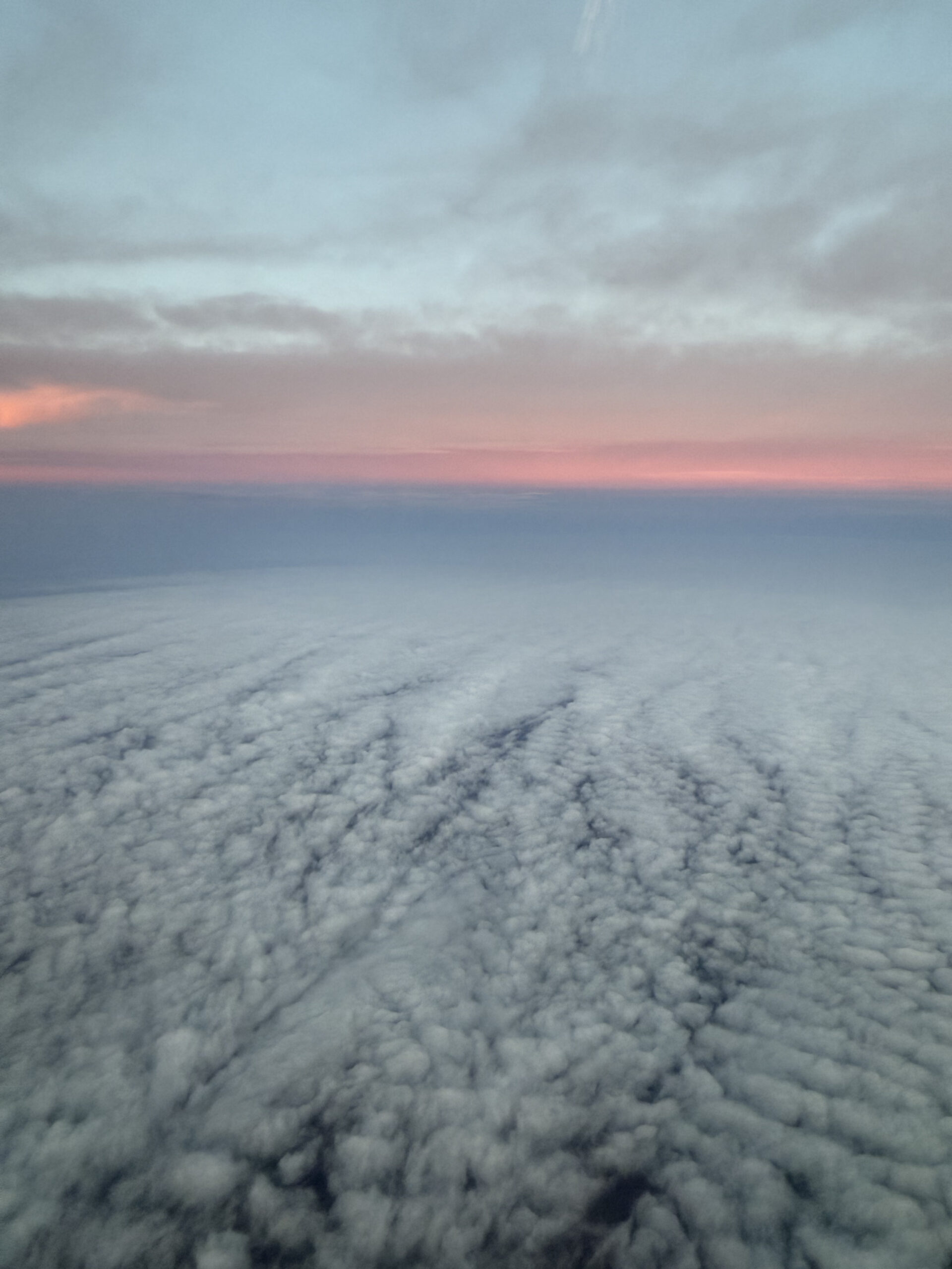 top 10 javo 25gramos 10 1 scaled