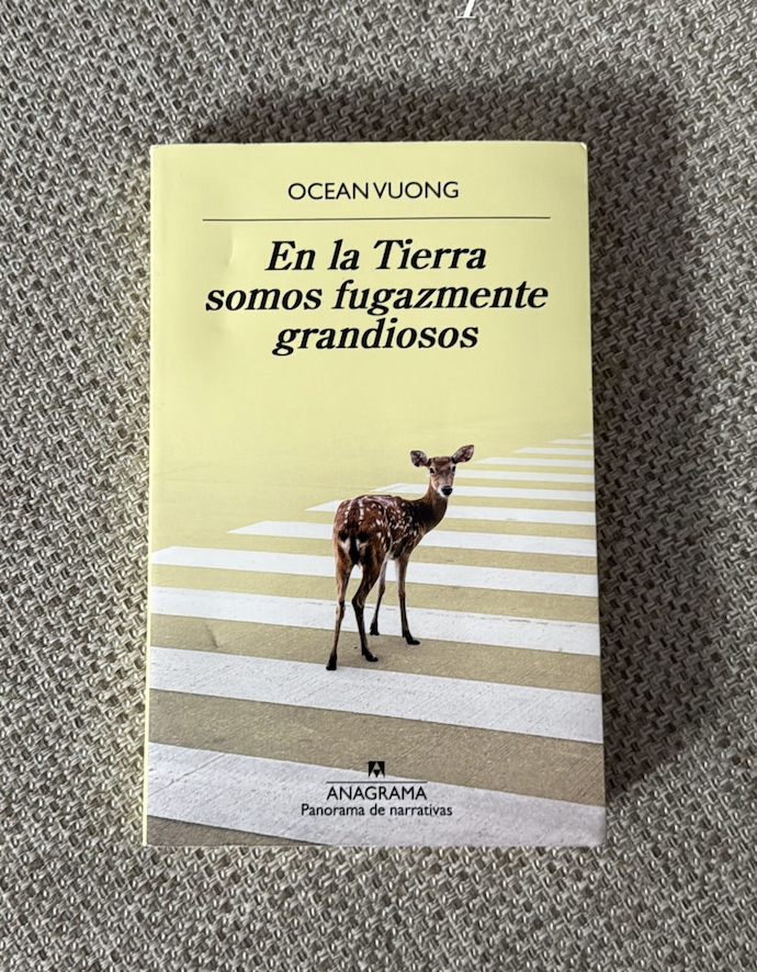 top 10 javo 25gramos 7