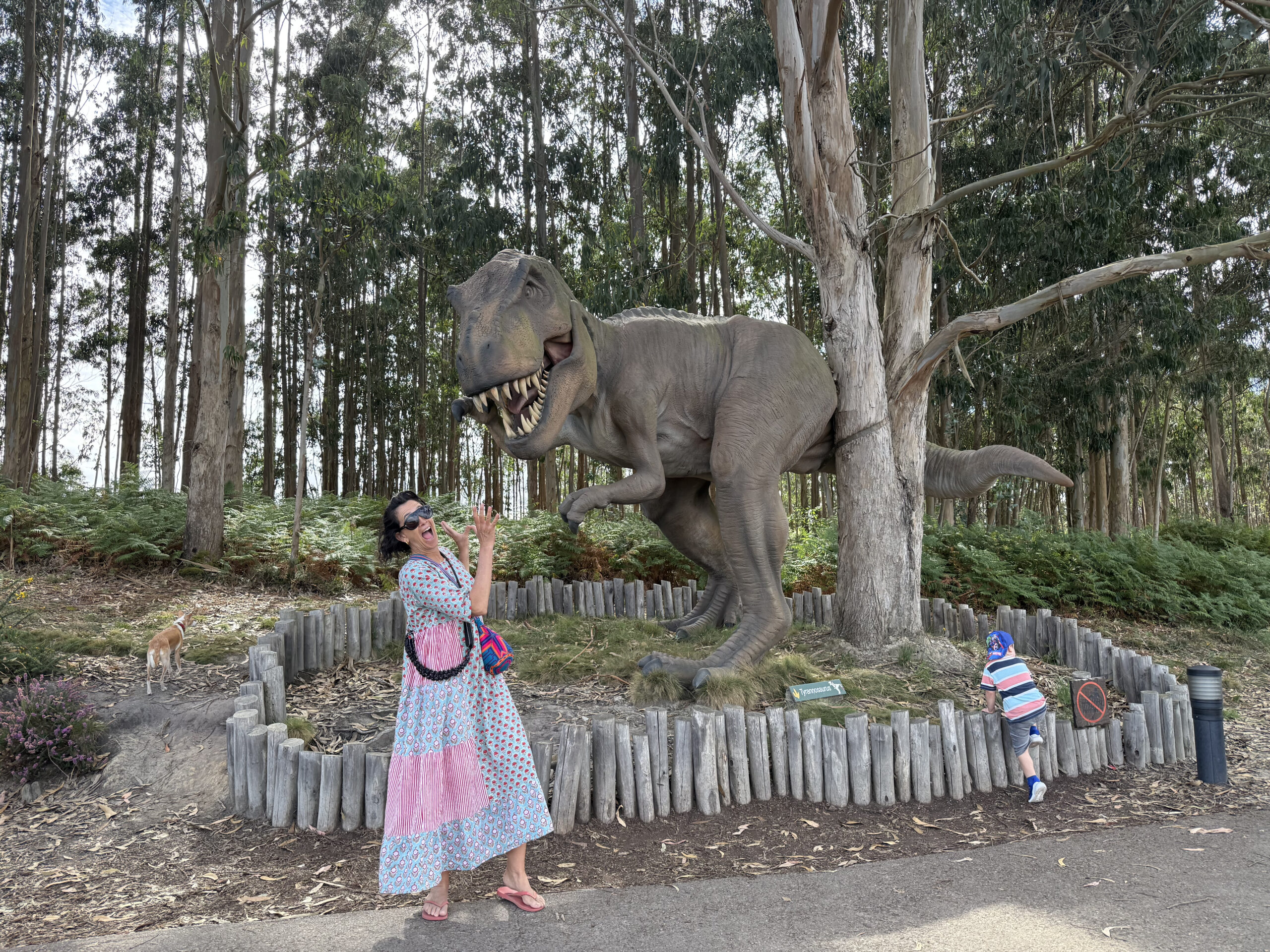 top 10 javo 25gramos 8 1 scaled