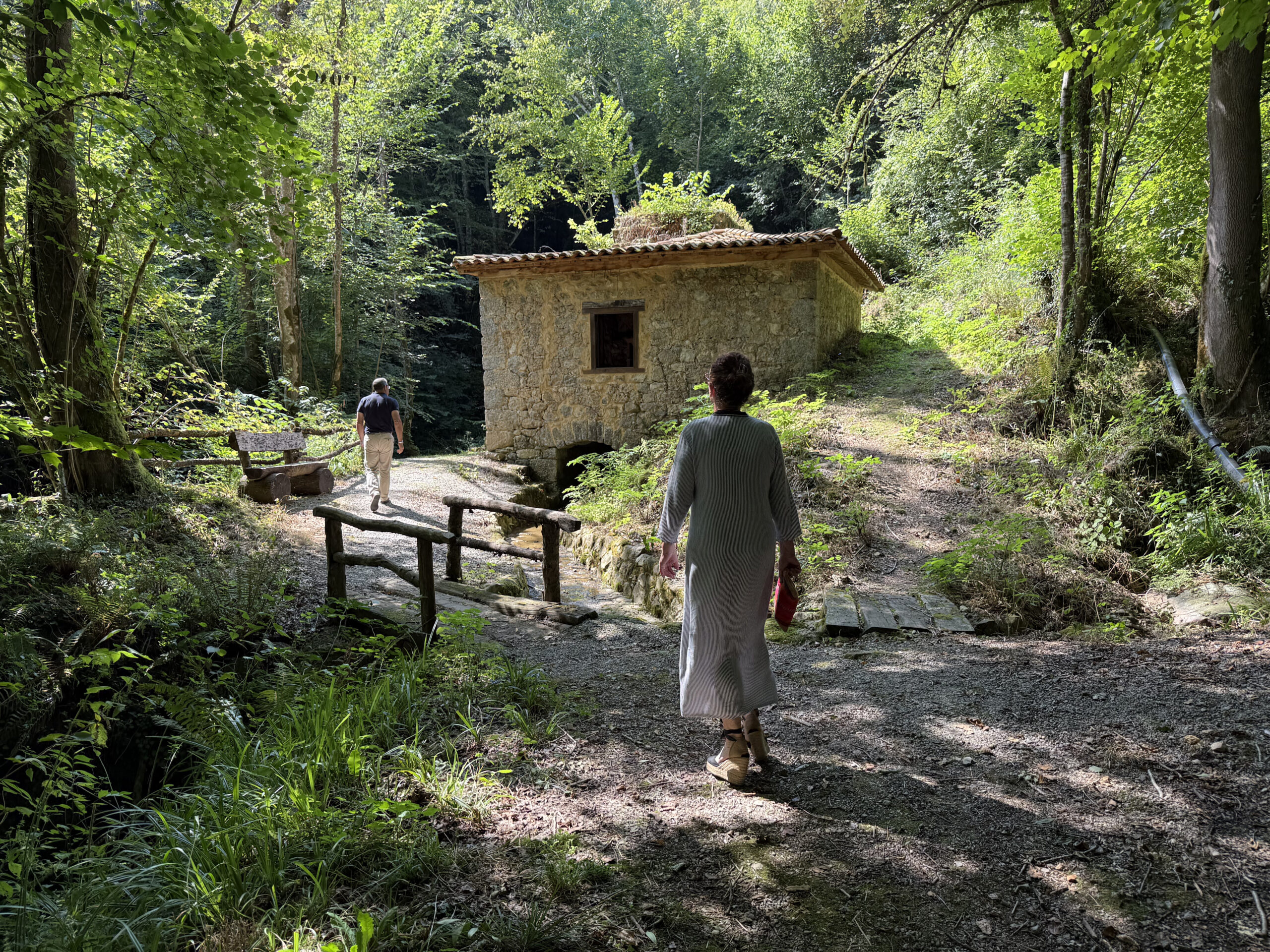 top 10 javo 25gramos 8 2 scaled