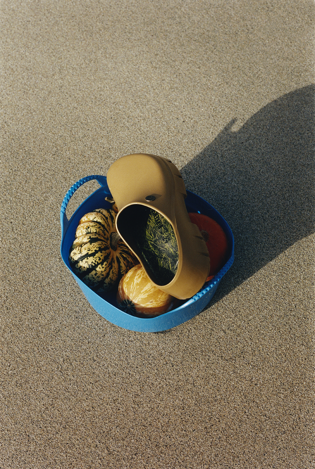 Birkenstock x Song For The Mute Campaign27