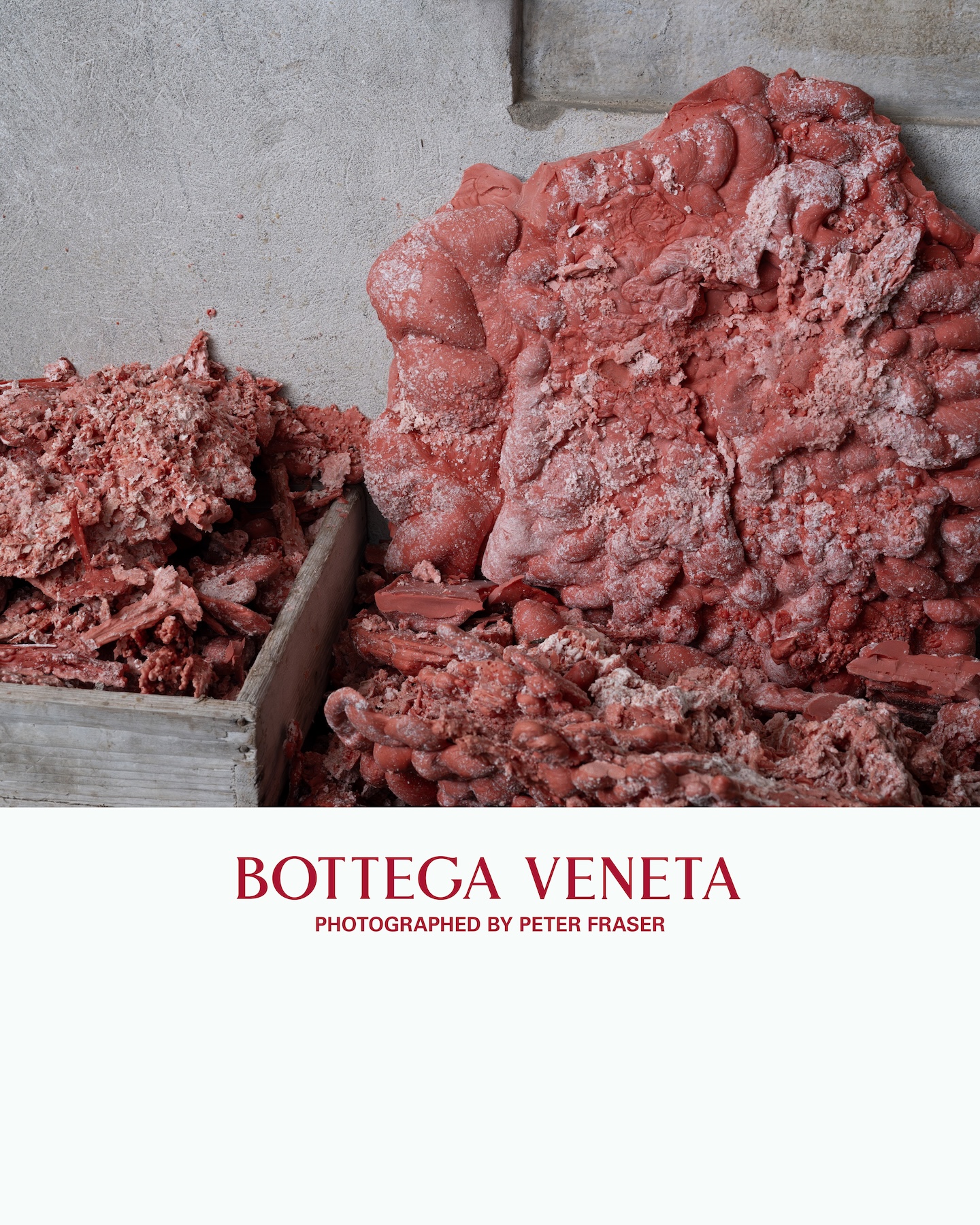 bottega veneta for the arts comienza con el ojo de peter fraser sobre venecia 25gramos 5