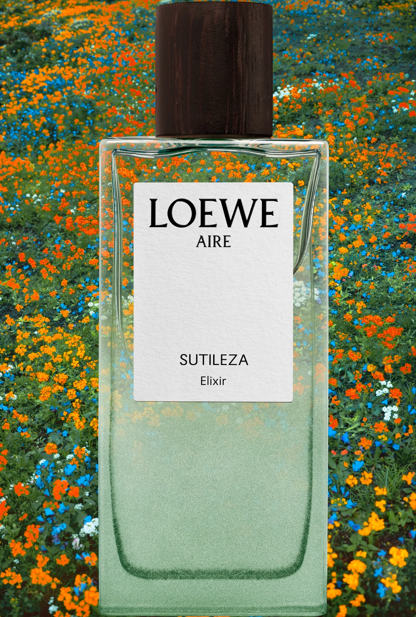 loewe fotografia sus perfumes frente a los paisajes que los inspiraron 25gramos 5