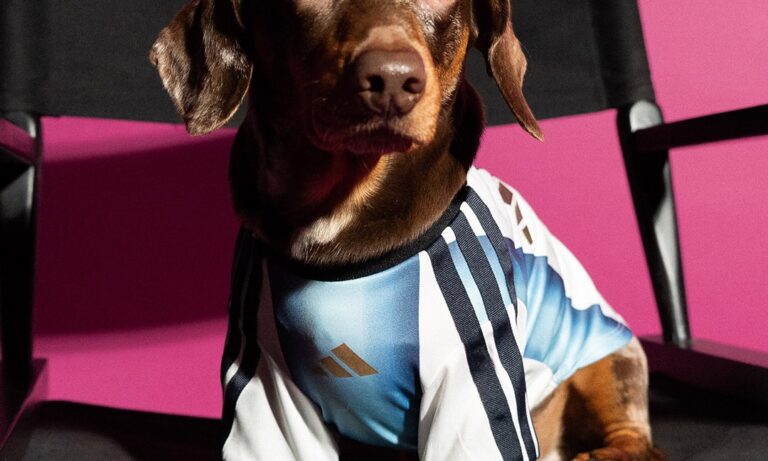 tus mascotas tambien pueden prepararse para el mundial gracias a adidas 25gramos 2 1