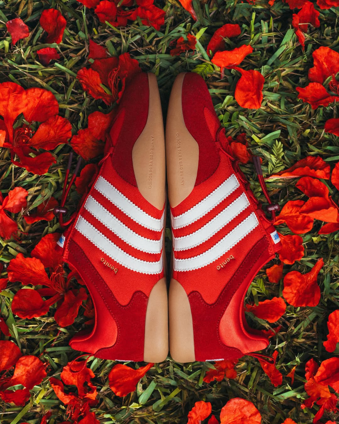 las bailarinas de adidas y bad bunny se tinen de rojo 25gramos 5 1