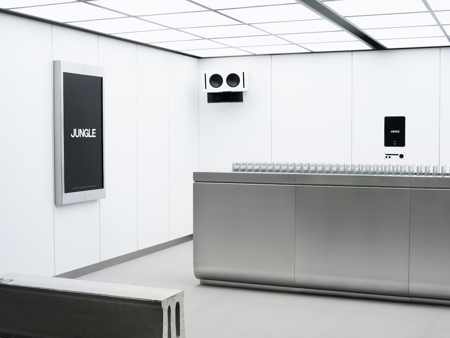 yyplusplus convierte la recepcion de las nuevas oficinas de jungle en una tienda 25gramos 3