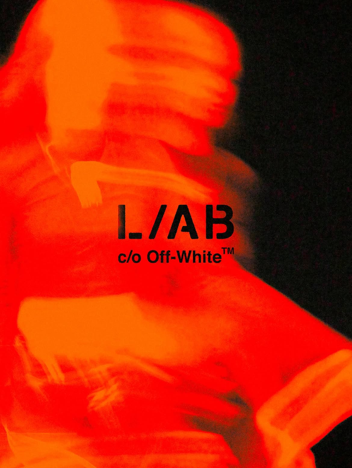 l ab c o es la nueva puerta de entrada a off white 25gramos