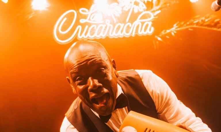 la cucaracha aterriza en la noche ibicenca este verano 25gramos 2 1