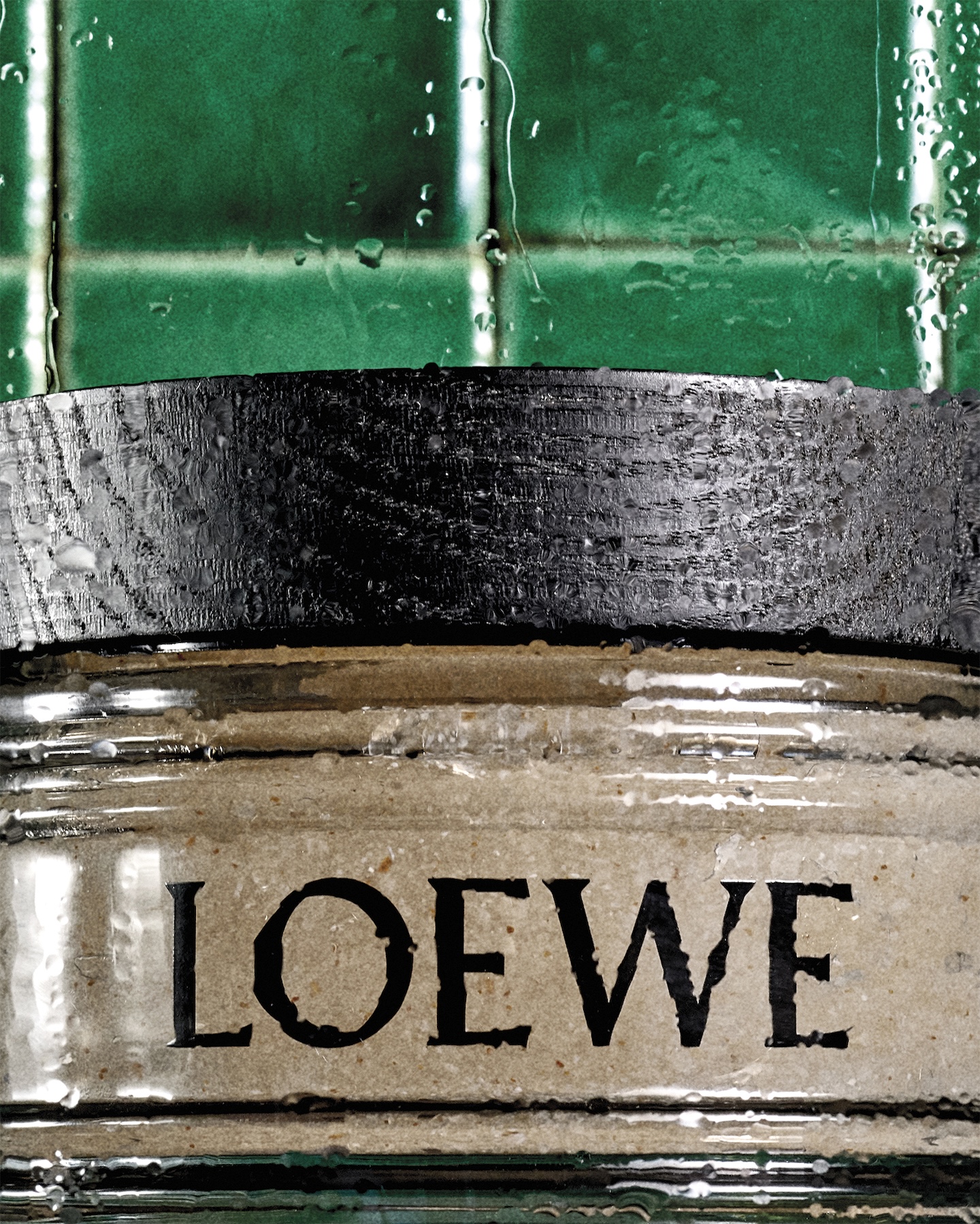 loewe perfumes amplia su idilio con la planta del tomate 25gramos 9