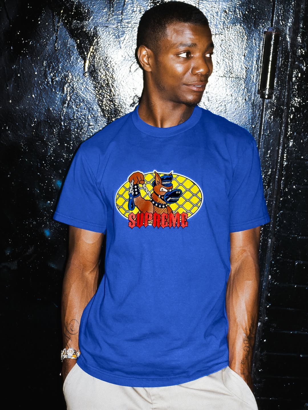 no es verano hasta que llegan las camisetas de supreme 25gramos 7