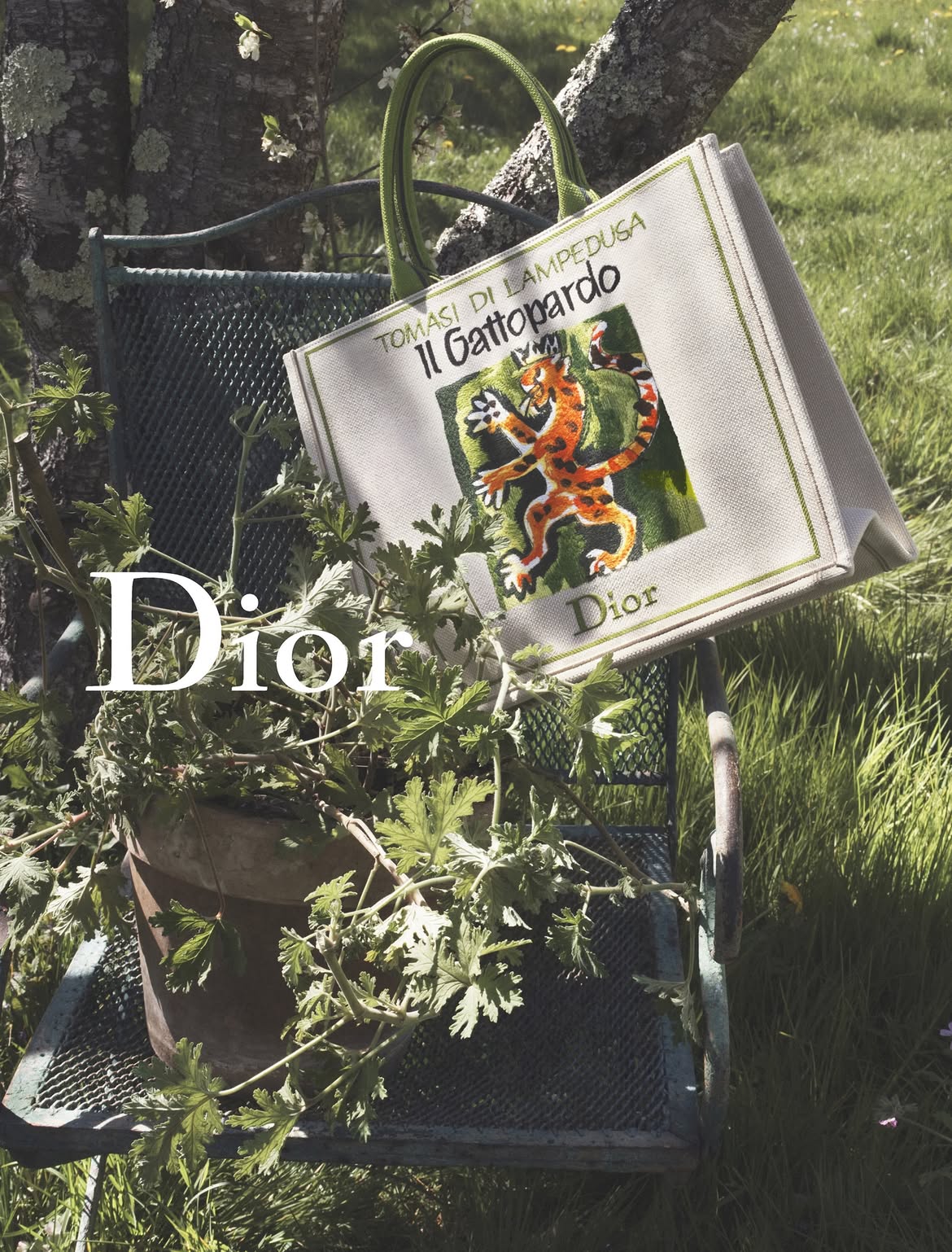 dior manda a sus actores al campo para su nueva campana 25gramos 3