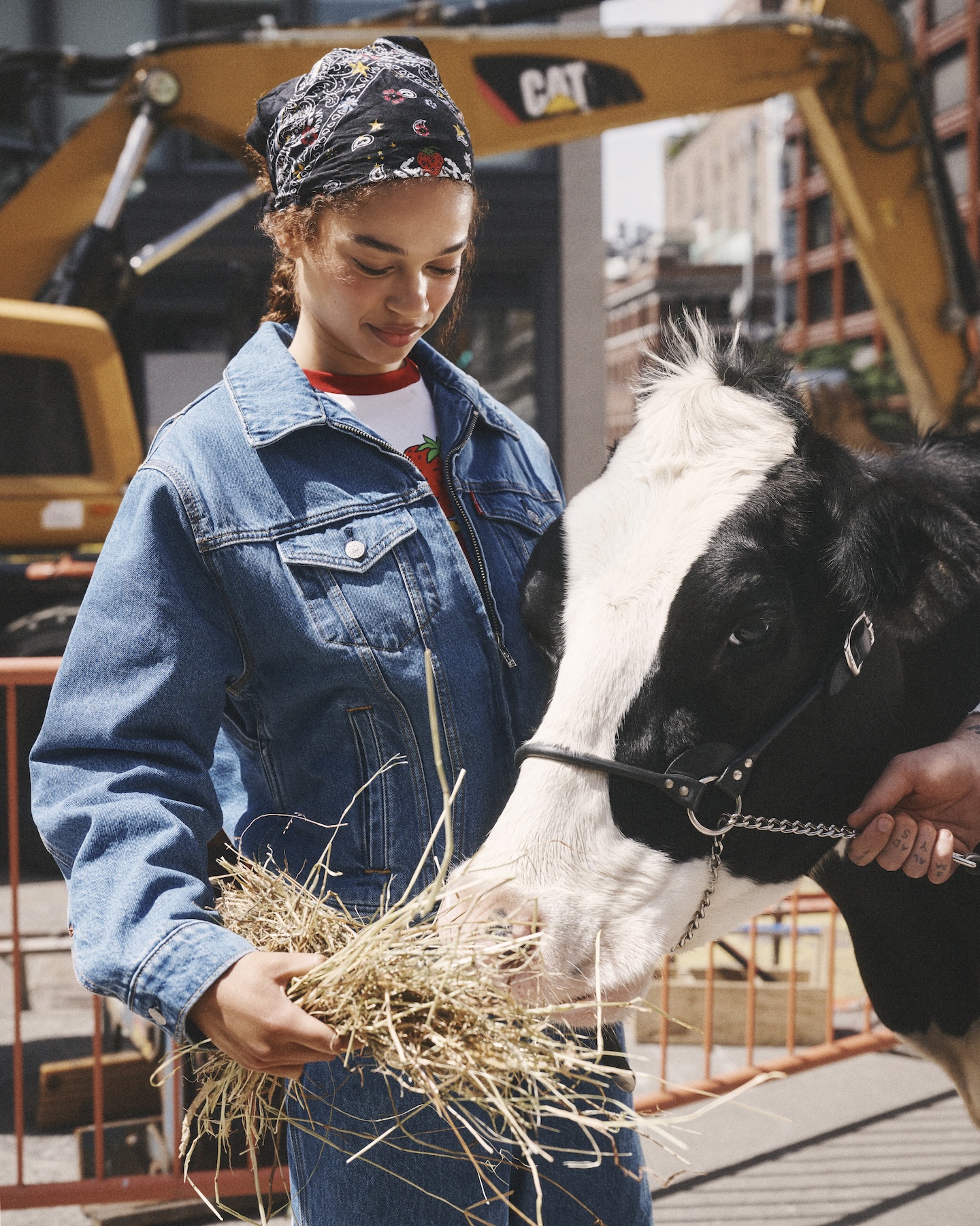 esto de levis junto a sky high farm goods esta pensado para pisar el barro 25gramos 2
