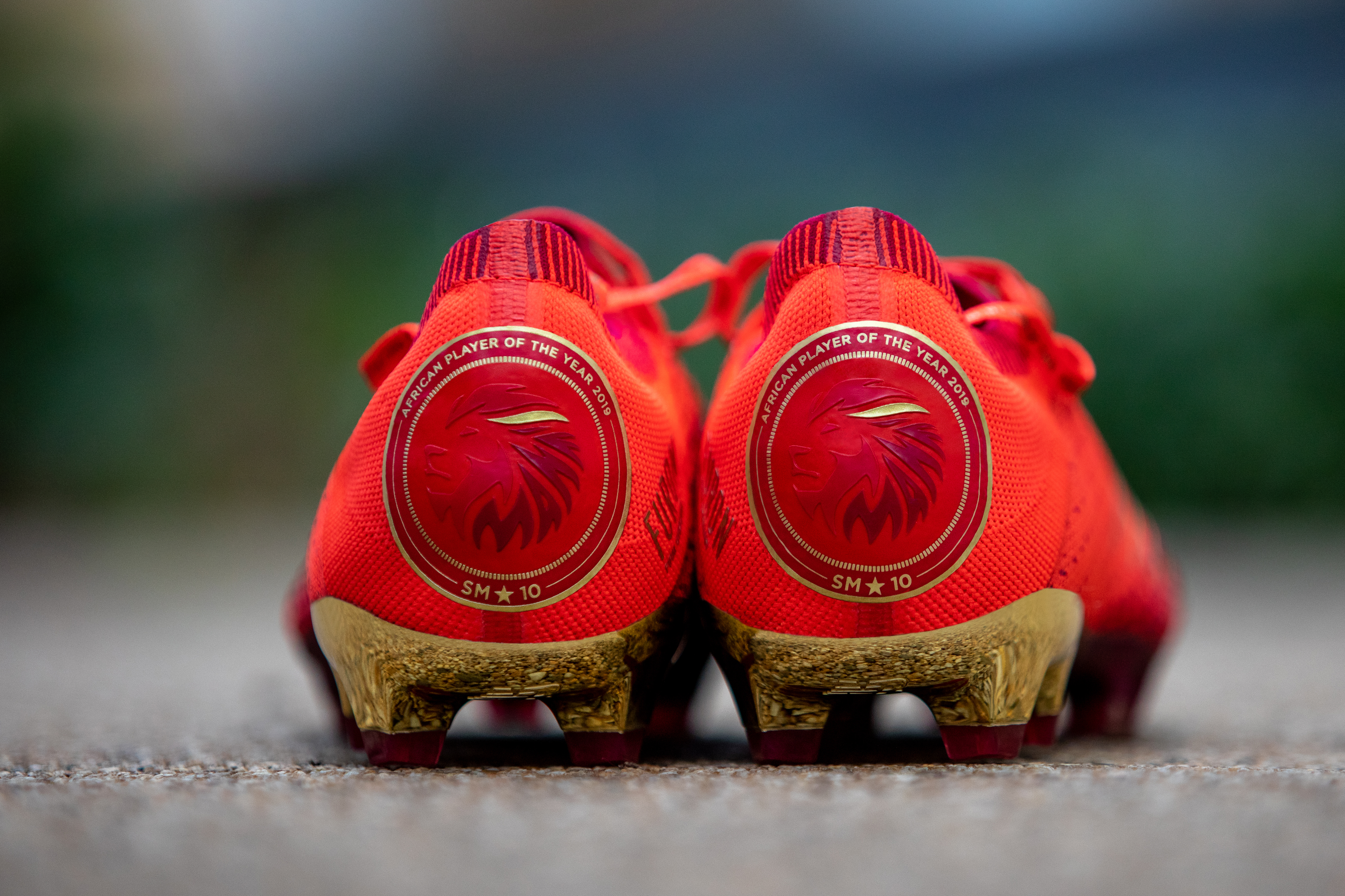 NB_ManePOTY_KCP-37_rt